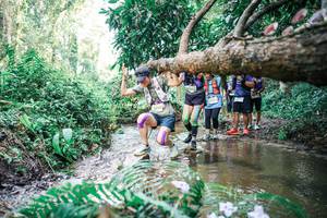 BIB: 
                            <button type="button" onclick="openModal(25478407)" class="btn btn-primary btn-sm float-right btn-popup" data-toggle="modal" data-target=".modal-high-quality">
                        <i class="fas fa-shopping-cart"></i> Add to Cart
                    </button>
                                            <button type="button" onclick="isThisMe(25478407, true)" class="btn btn-success btn-sm float-right btn-popup btn-isme hidden" data-toggle="tooltip" data-placement="bottom" title="นี่คือรูปของคุณใช่ไหม คลิกที่นี่เพื่อเอาเข้าอัลบั้ม">
                        <i class="fas fa-plus"></i> Add to album
                    </button>
                    <button type="button" onclick="isThisMe(25478407, false)" class="btn btn-warning btn-sm float-right btn-popup btn-isnotme hidden">
                        <i class="fas fa-ban"></i> Remove from album
                    </button>